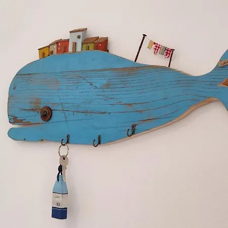 Asfodelo 33 Is Molas