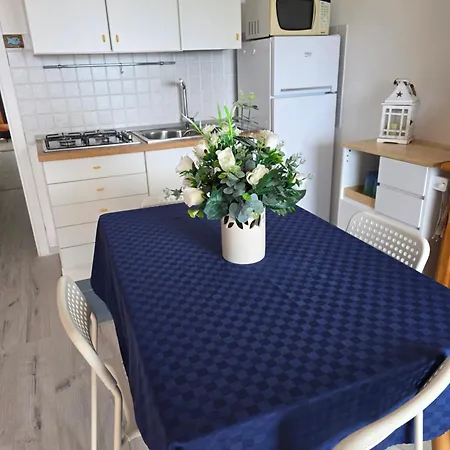 Asfodelo 33 Is Molas Pula