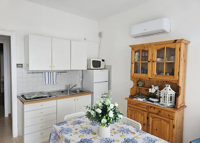 Asfodelo 33 Is Molas *